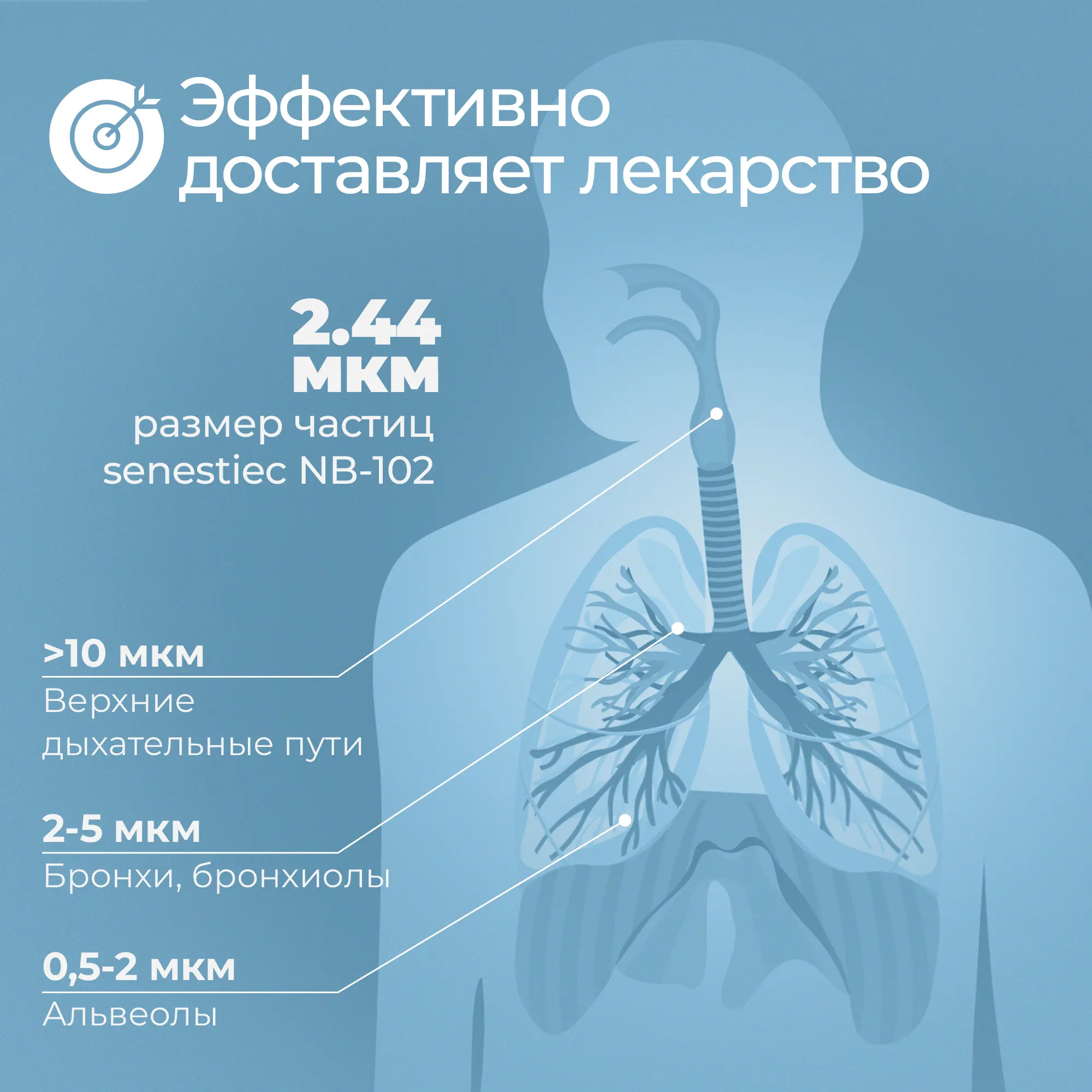 Ингалятор небулайзер Sensitec NB-10, компрессорный, медицинский